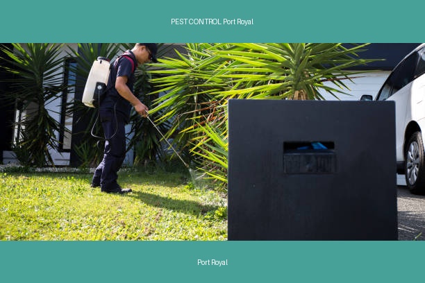 PEST CONTROL Port Royal
